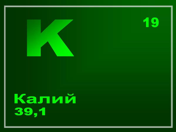 kaliy