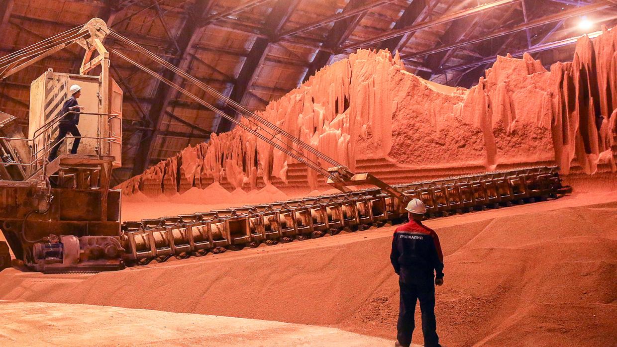 Прямые поставки минеральных удобрений от производителей